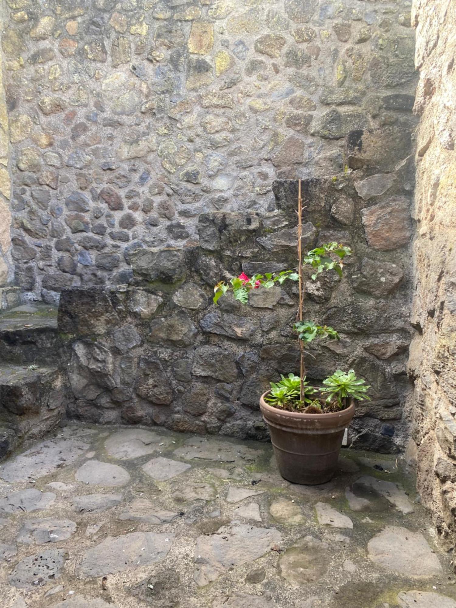 Rural House To Take A Break, La Serreria 25 - Private Garden Hébergement de vacances Tacoronte