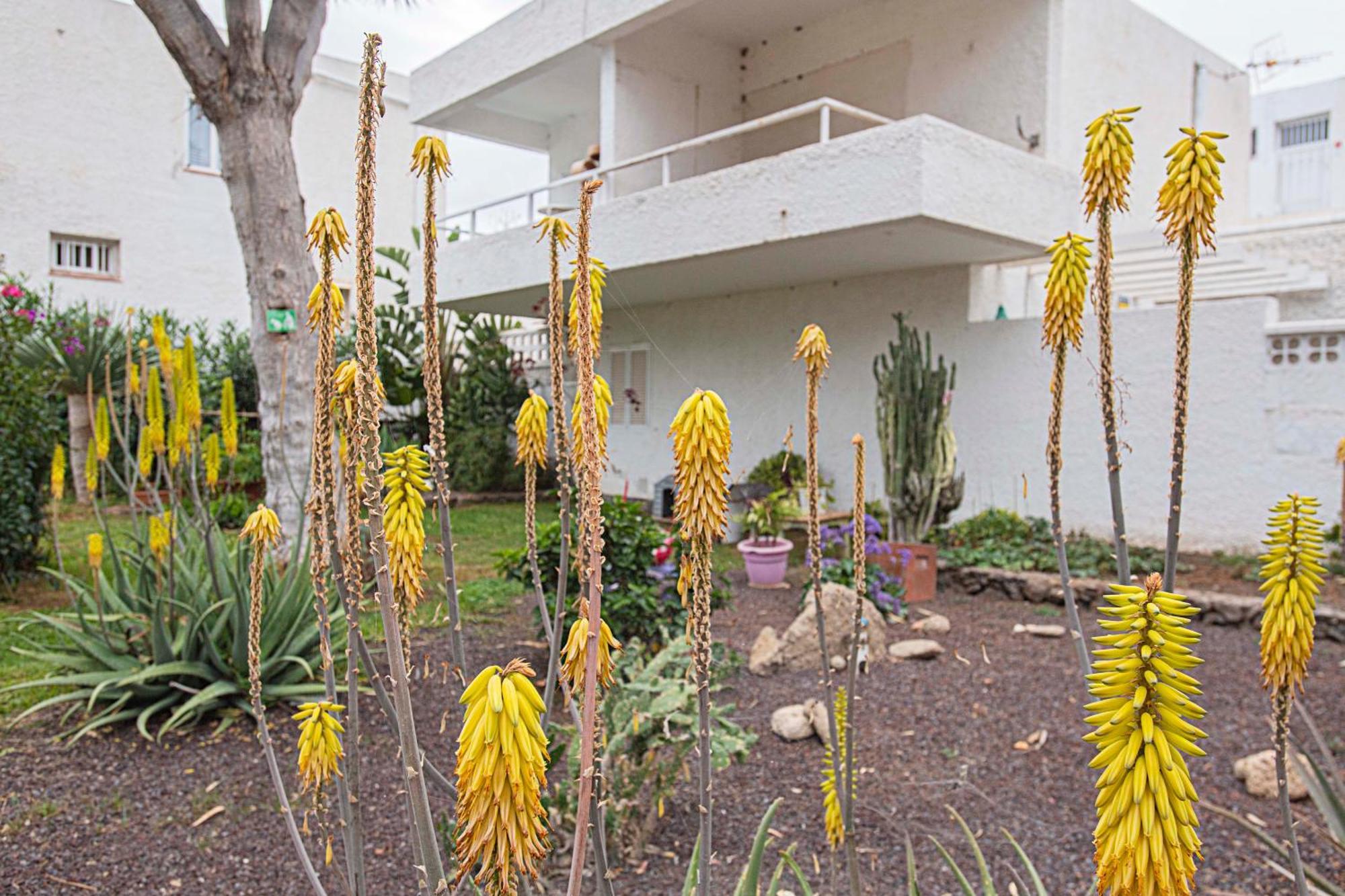 Appartement Eureka Tenerife