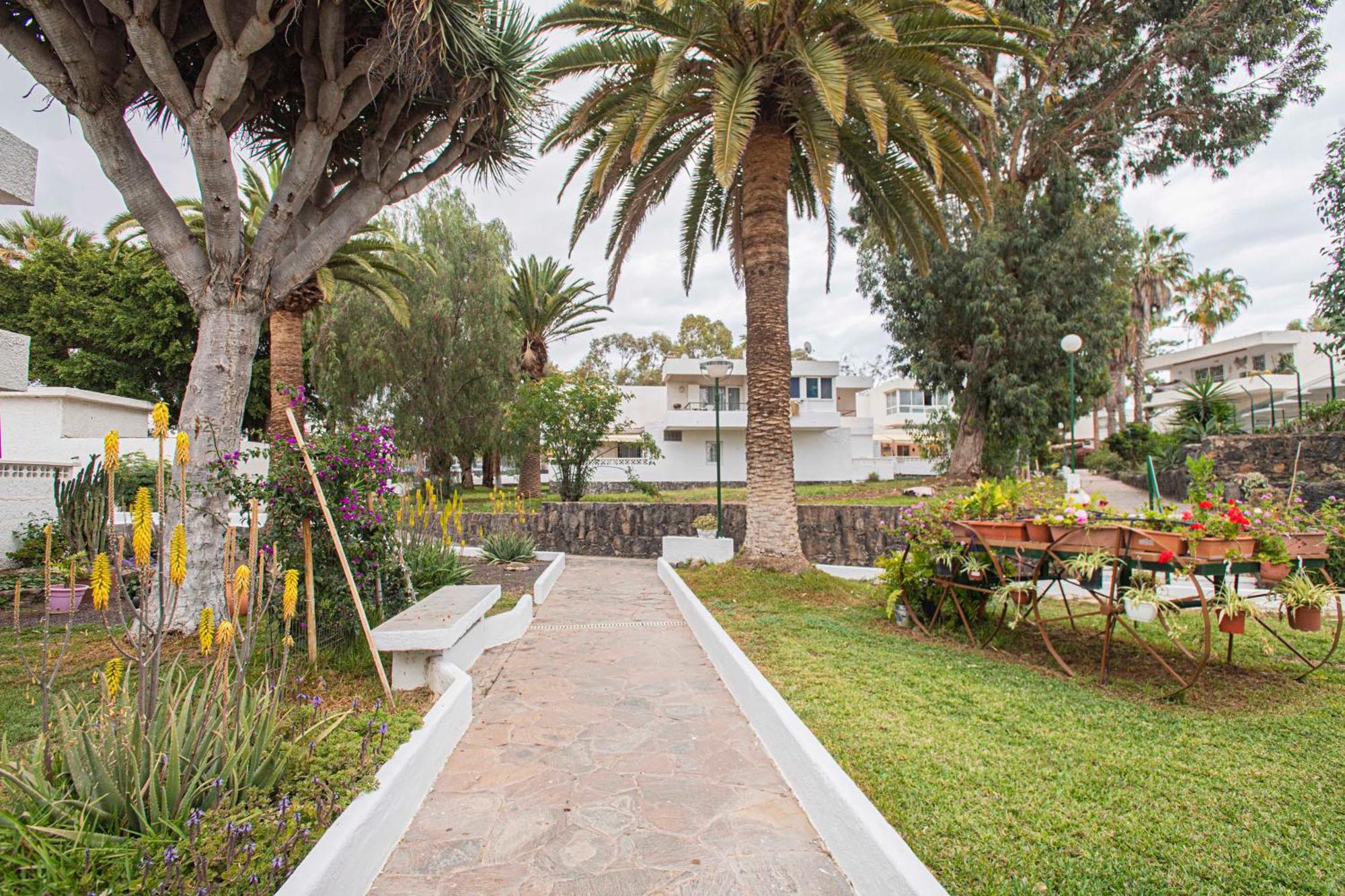 Eureka Tenerife Arona (Tenerife)