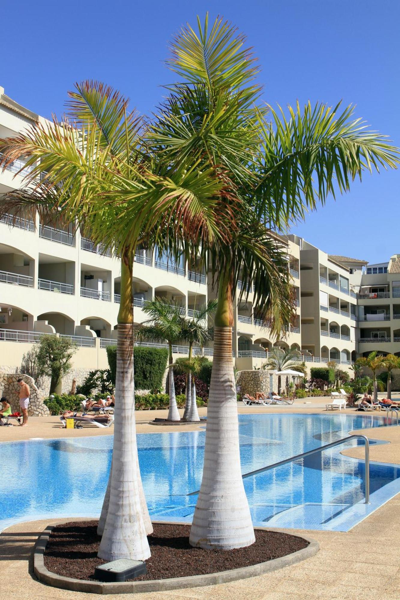 La Vida Buena Apartment Palm-mar