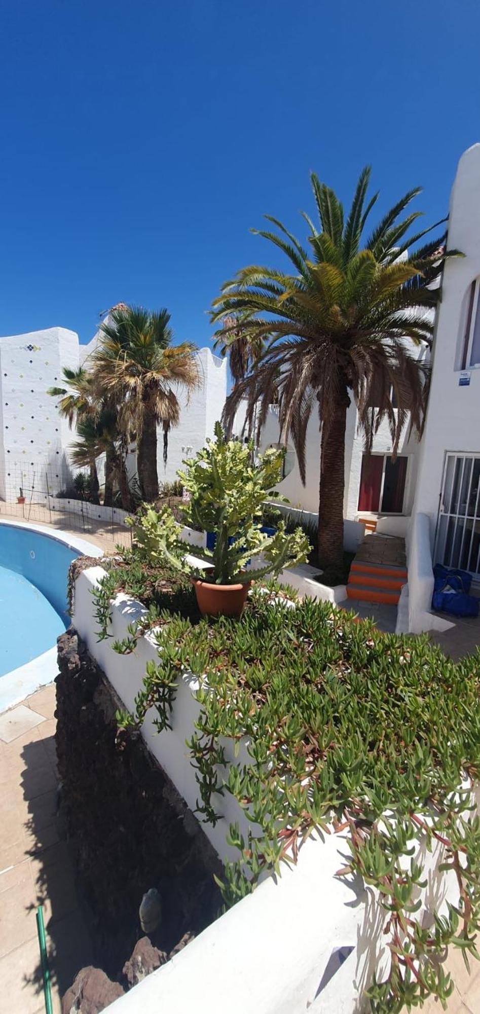 Wonderful White Appartament In Tortugas Apartment Playa de las Americas (Tenerife)