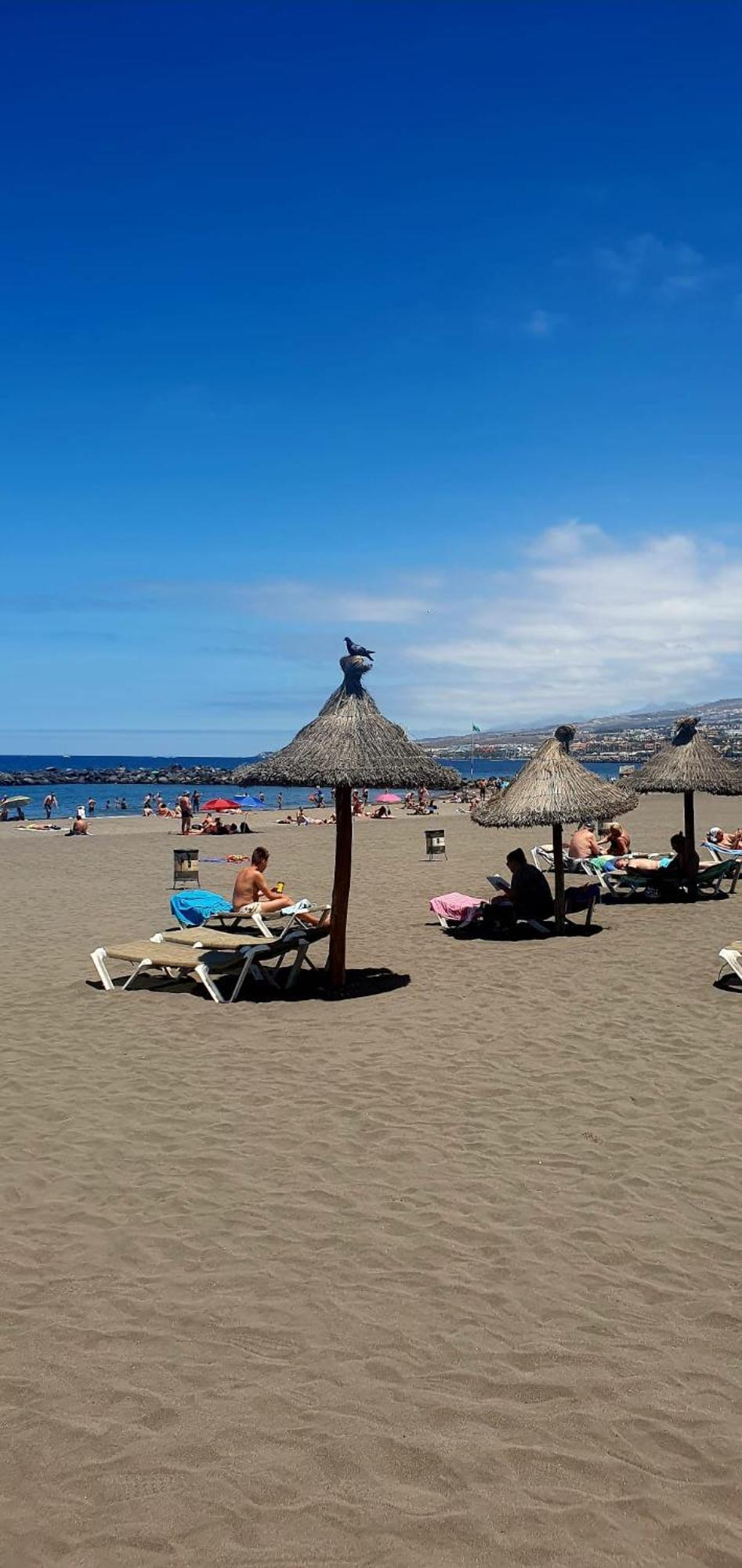 Apartment Wonderful White Appartament In Tortugas Playa de las Americas (Tenerife)