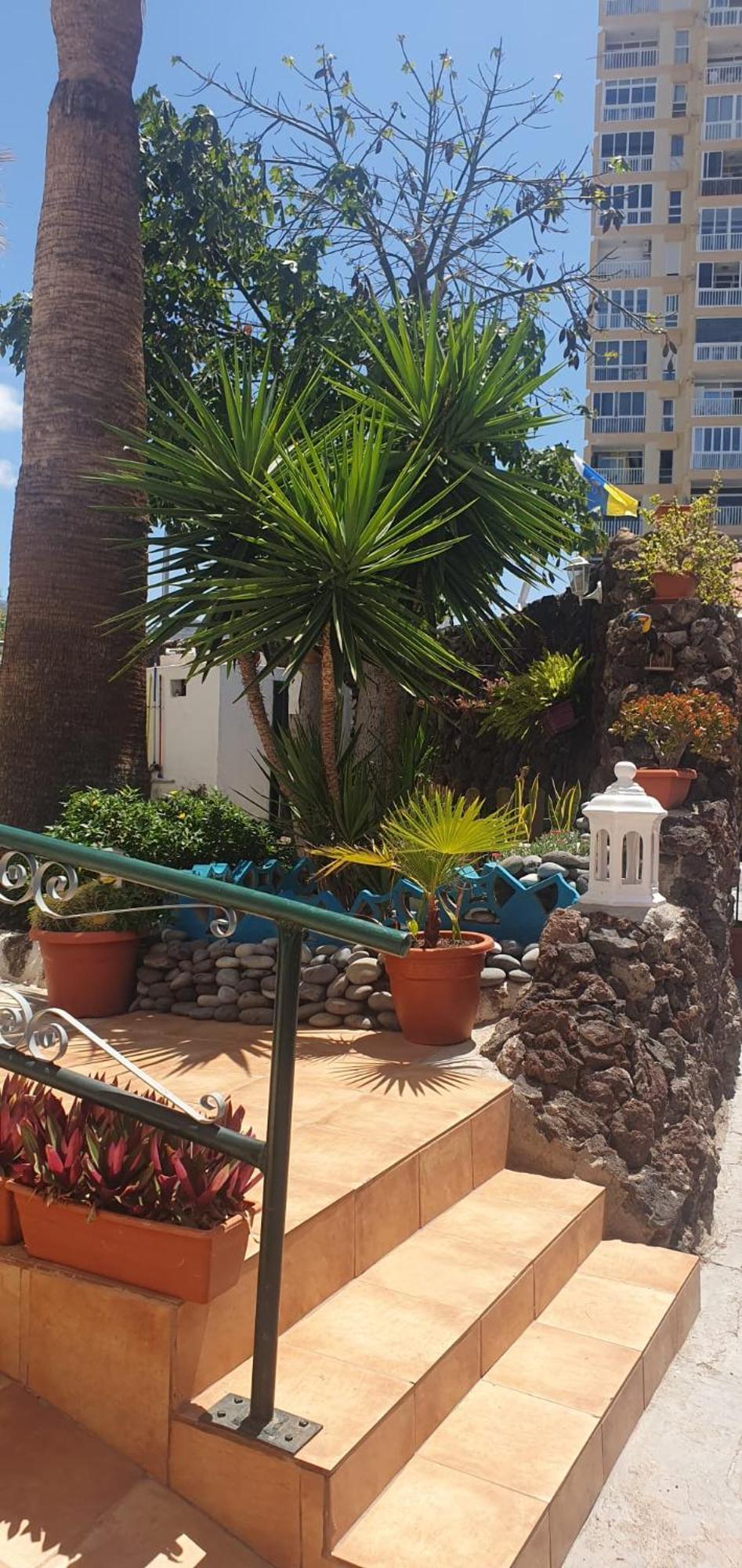 Wonderful White Appartament In Tortugas Playa de las Americas (Tenerife)