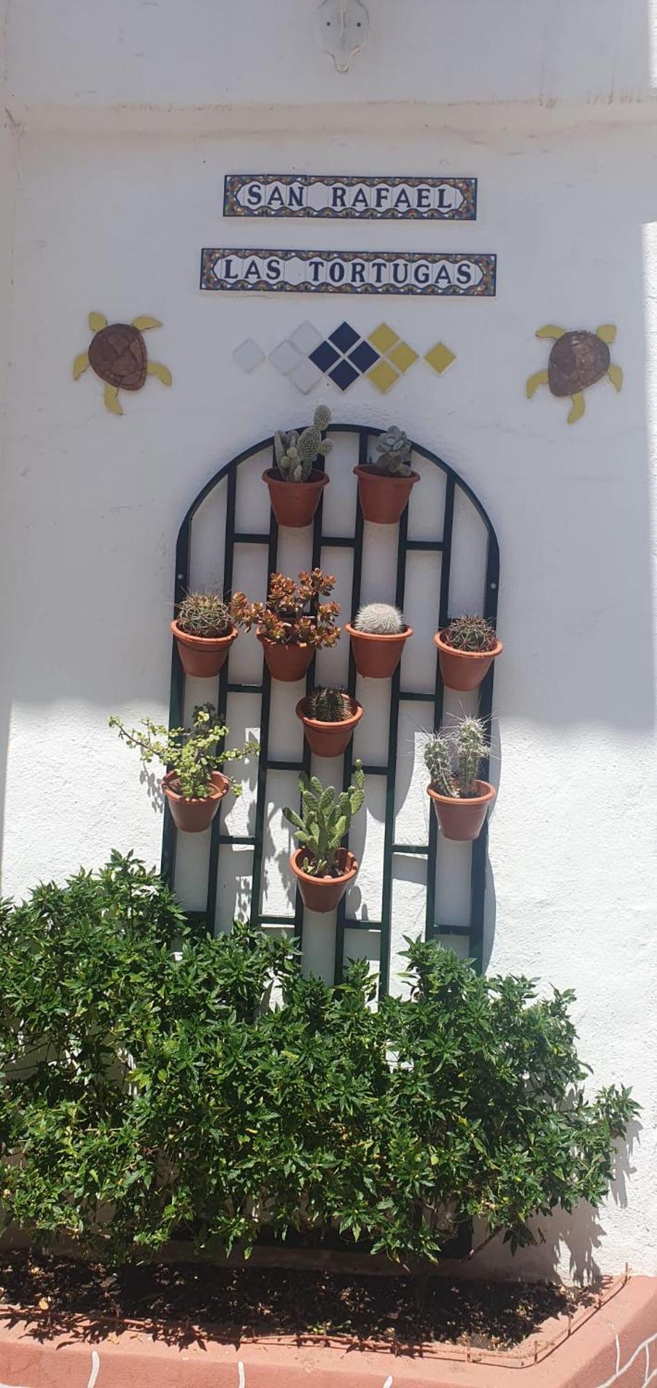 Wonderful White Appartament In Tortugas Apartment Playa de las Americas (Tenerife)
