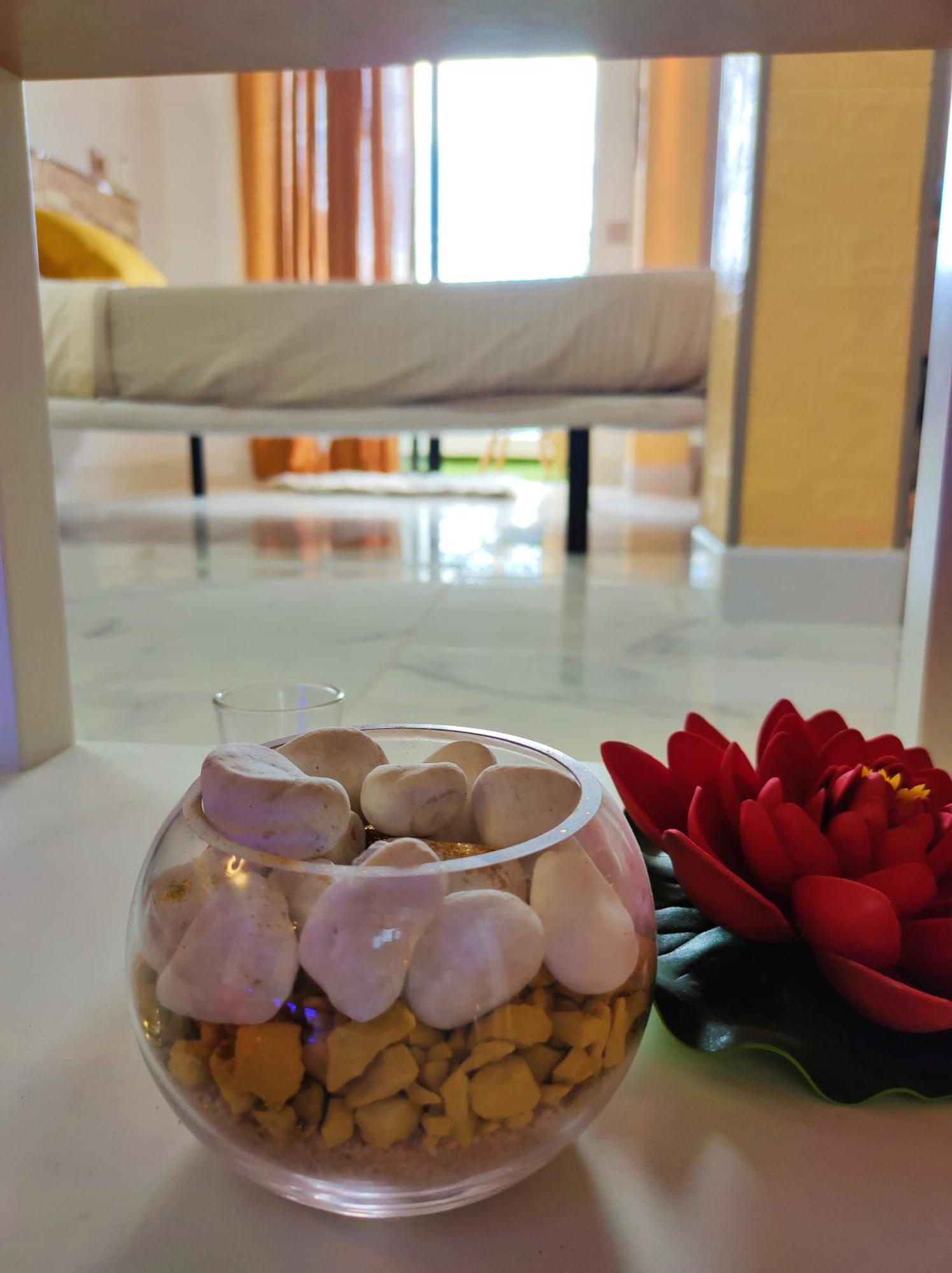 Apartment Lovely Views, Heated Pool, Great Location *