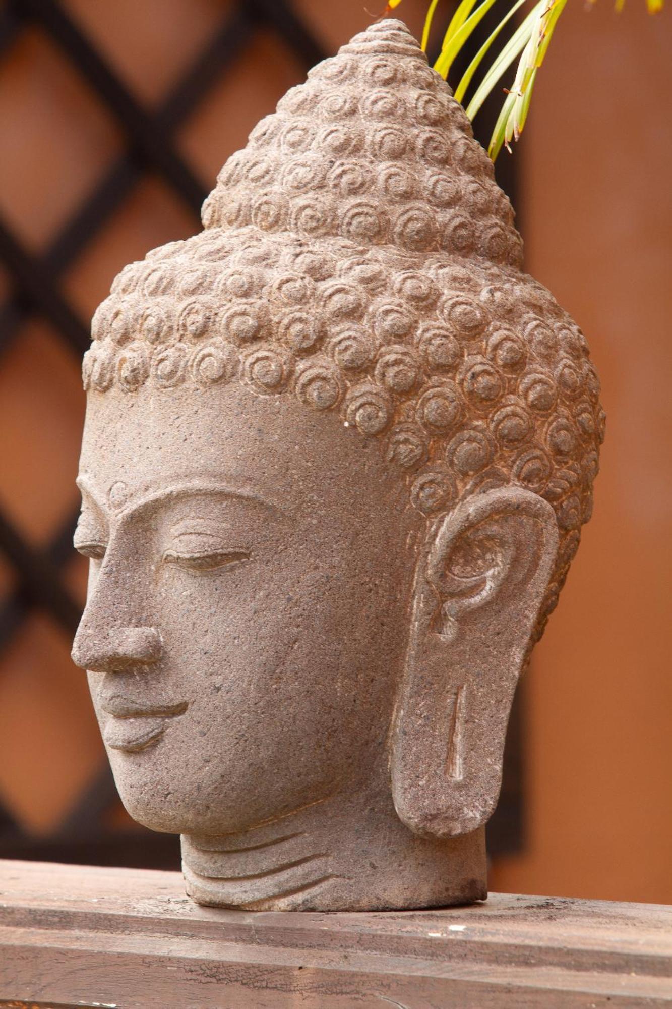 Jardin De Buda