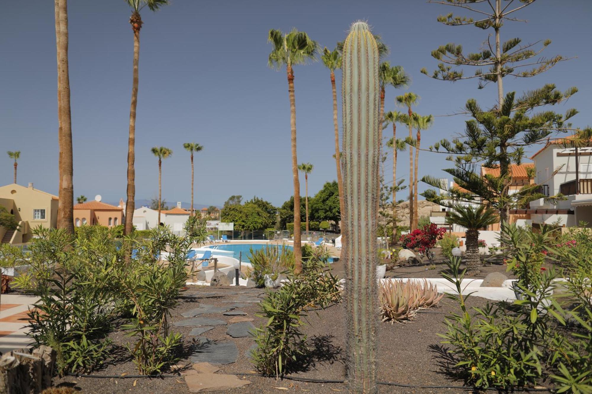 Almacanarias.holidays Alma 2 Apartment Costa Adeje (Tenerife)