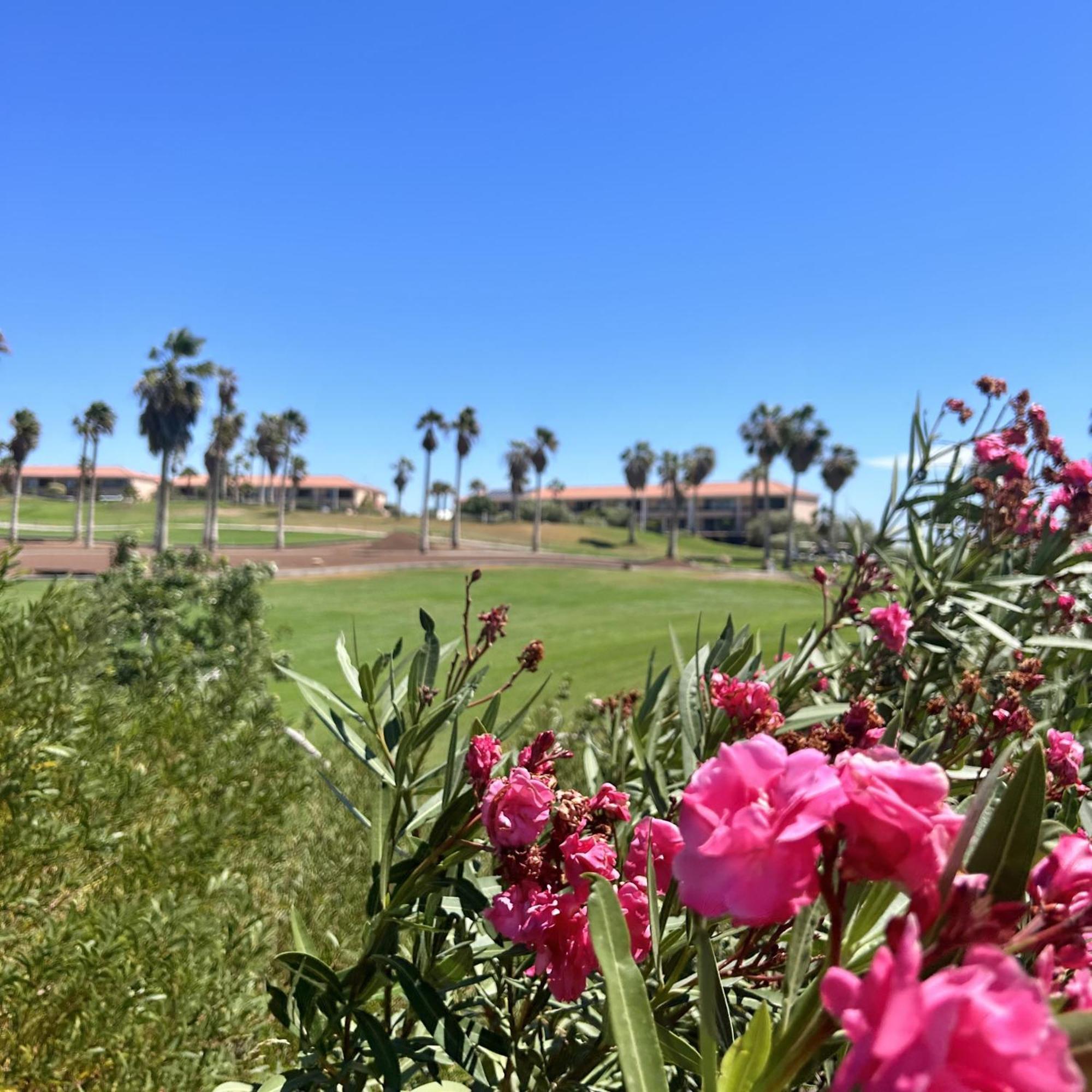 Apartamento Pool View In Ocean Golf Cc K115