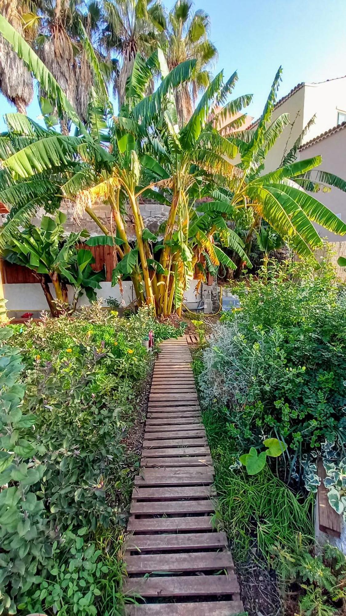 Apartamento Don Pedro
