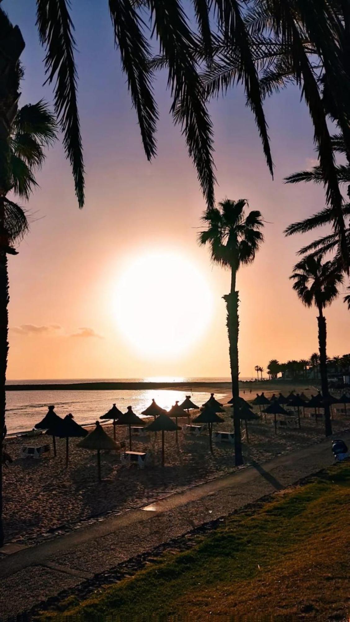 Apartment Wonderful White Appartament In Tortugas Playa de las Americas (Tenerife)