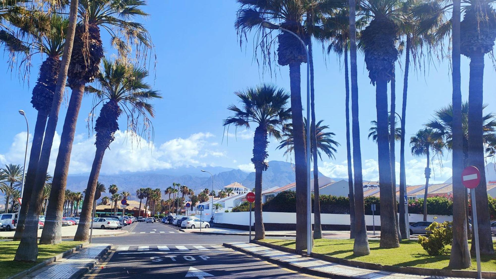 Parque Santiago 2 En Playa De Américas * Arona (Tenerife)