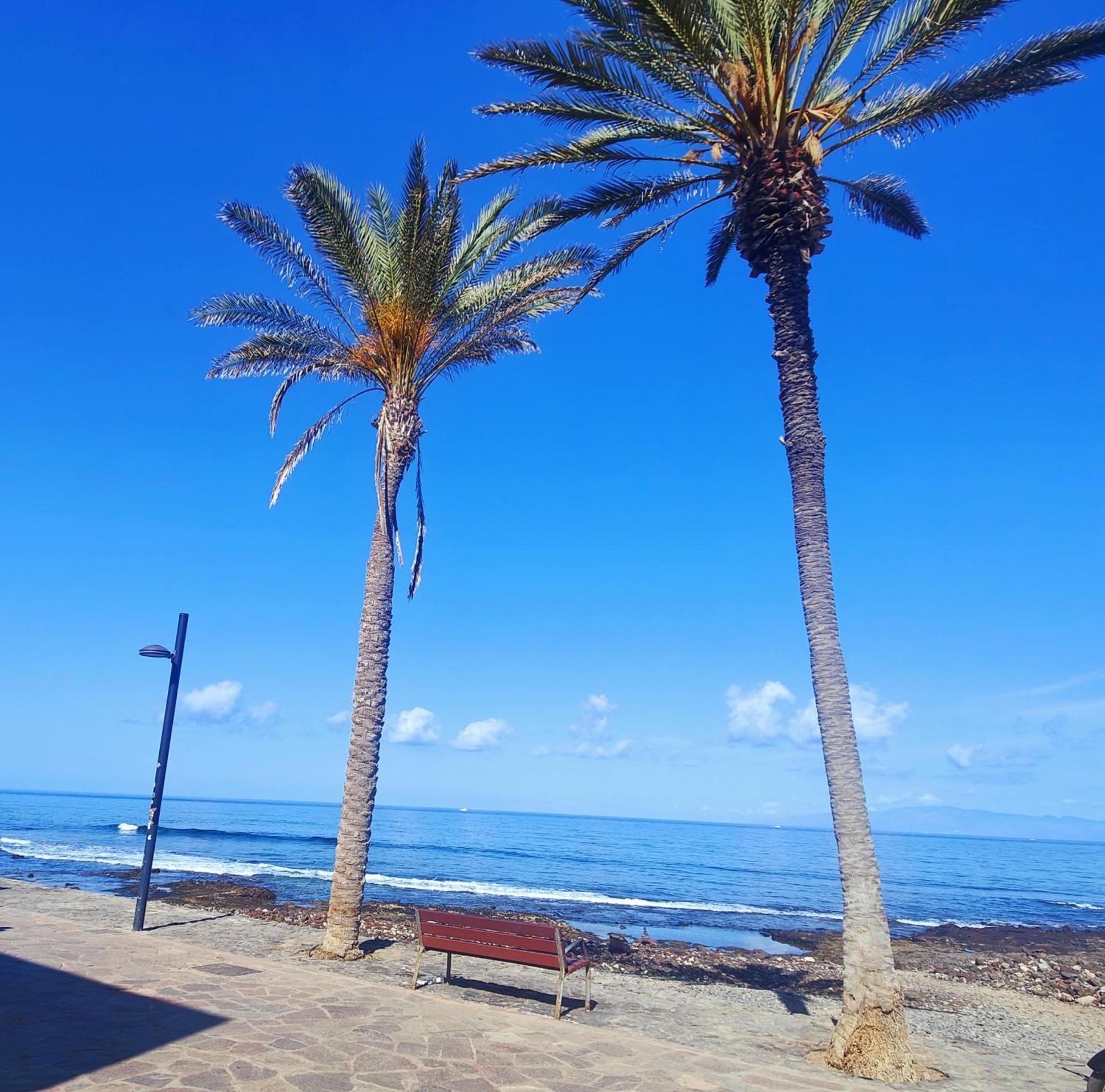 Parque Santiago 2 En Playa De Americas Apartment Arona (Tenerife)