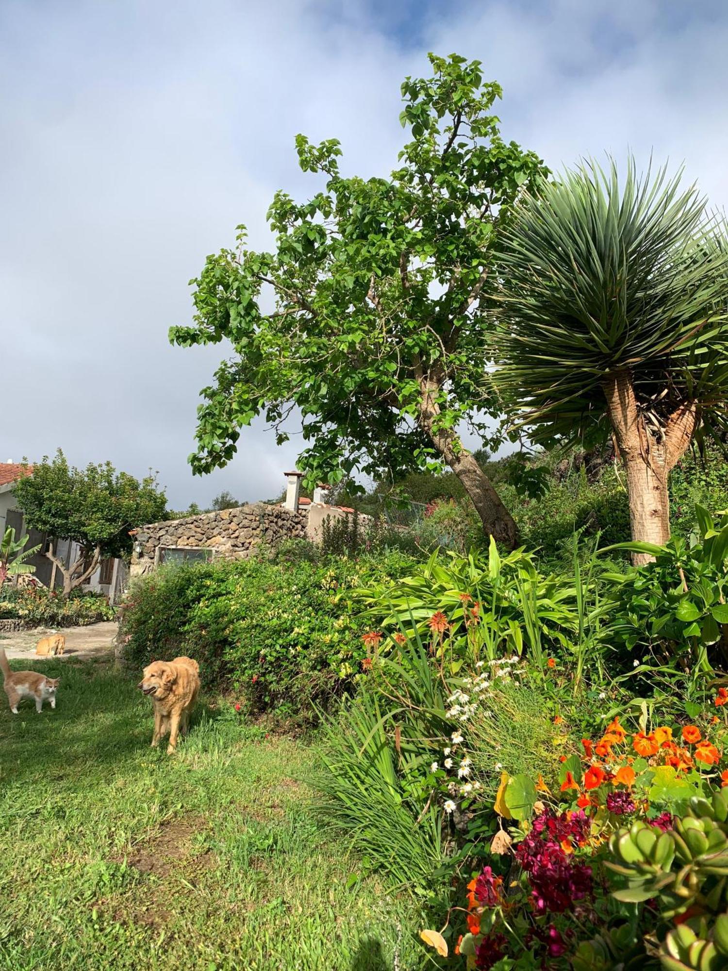 Casa Jardin Maravilla Apartamento
