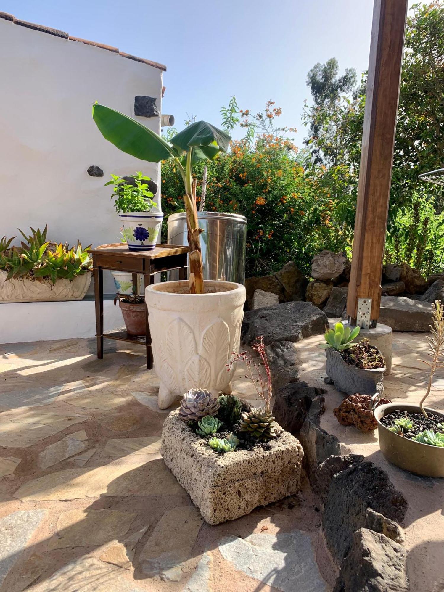 Casa Jardin Maravilla San Juan del Reparo