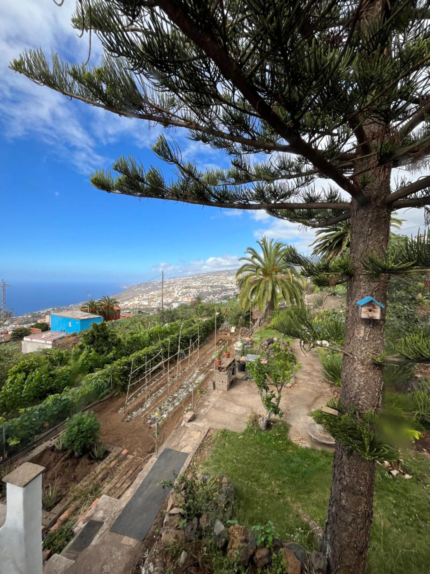 Casa Lupe Hébergement de vacances *