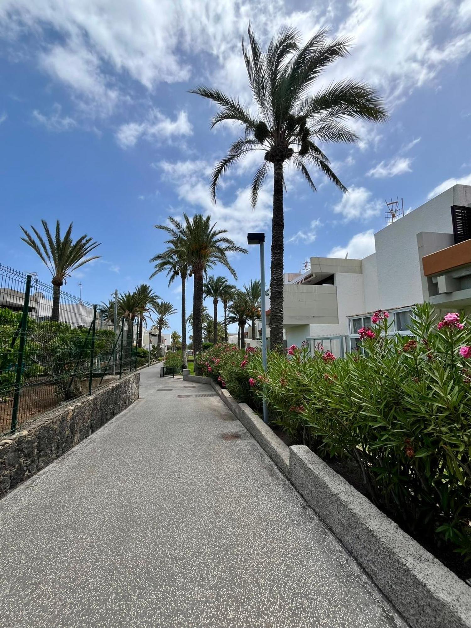 Apartamento Piso F-primavera Gt