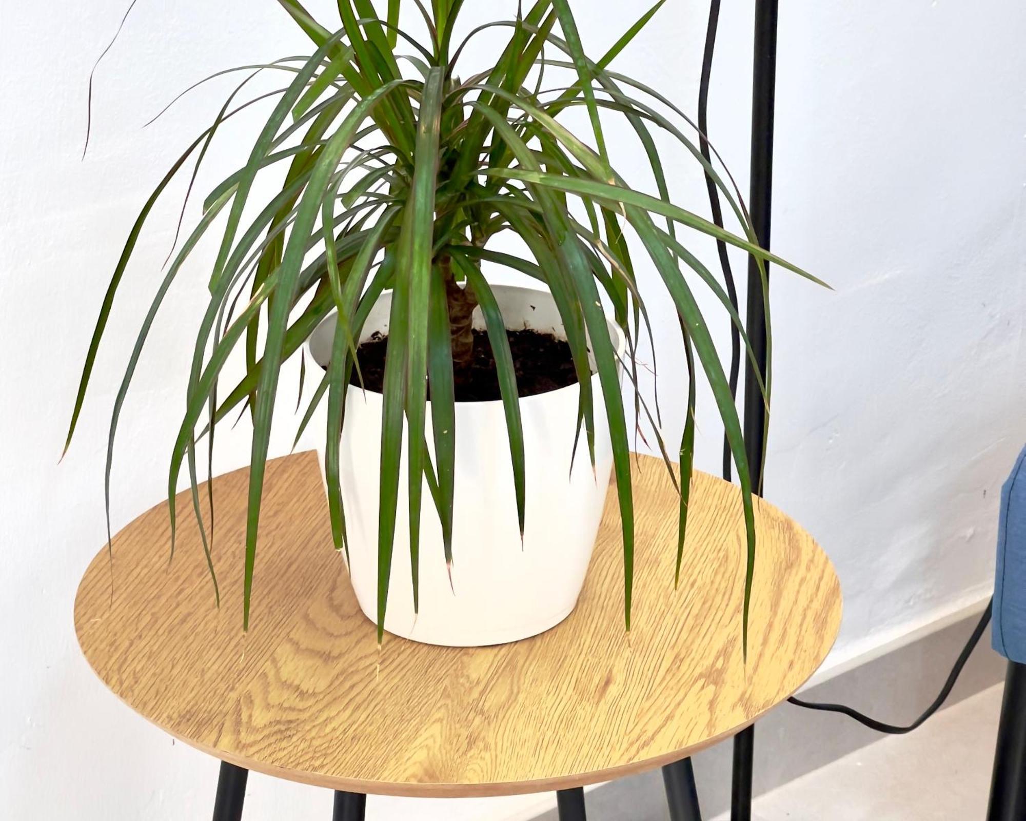 Alcamar Comfortable In The Center Of Apartment