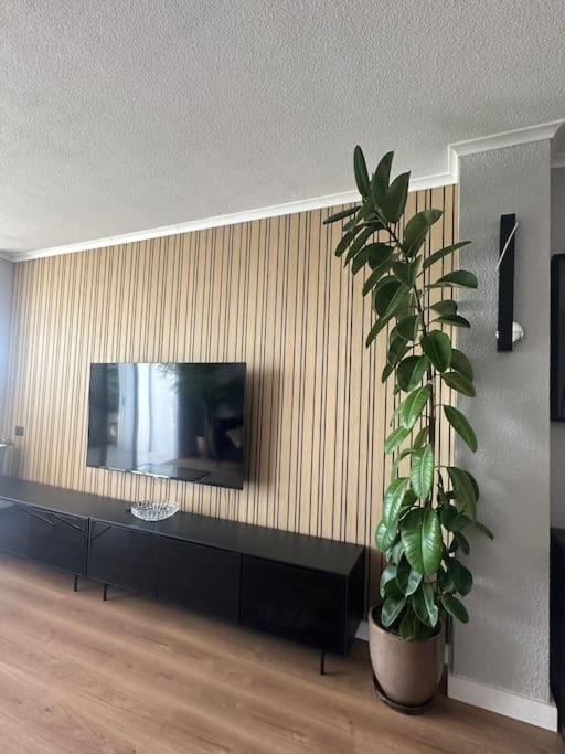 Apartamento Marazul Sunset *