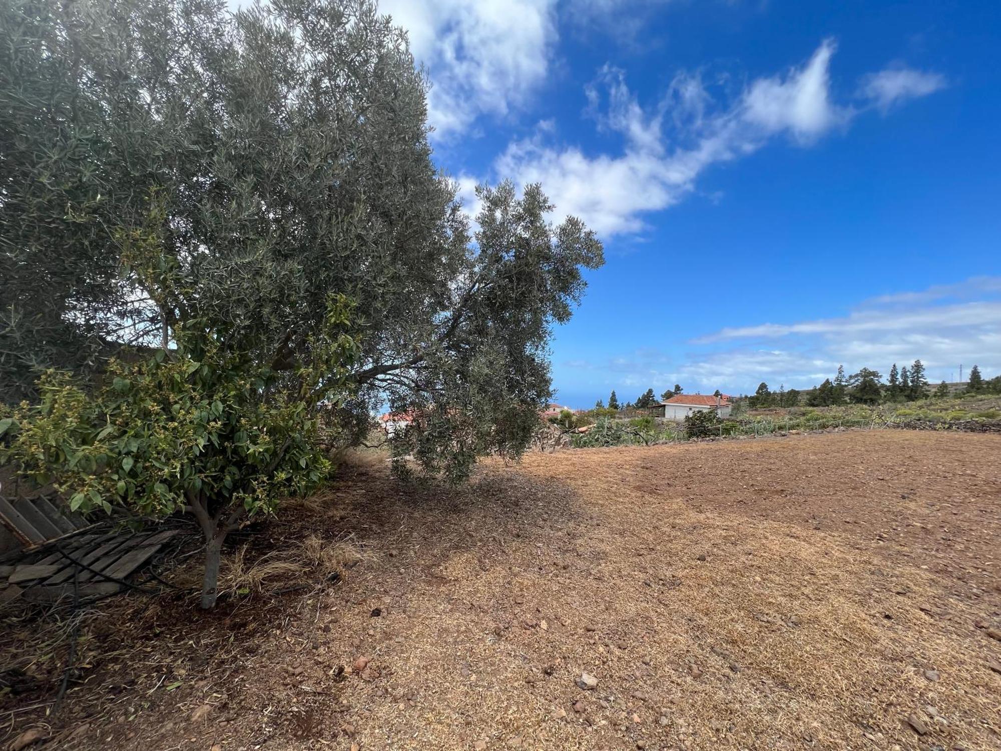 Casa Victoria Holiday home
