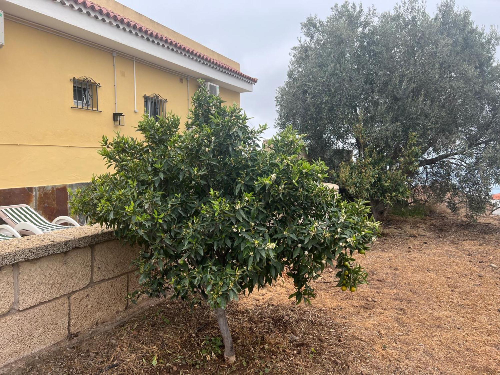 Casa Victoria Holiday home *