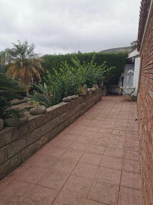 Apartamento Cactus *