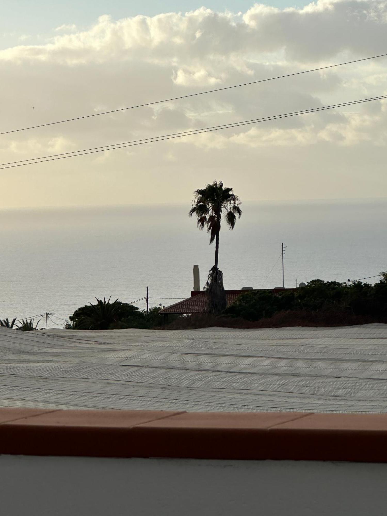 Appartement New Modern Apartment, Scandinavian Style, Ocean View, Huge Terrace Icod De Los Vinos