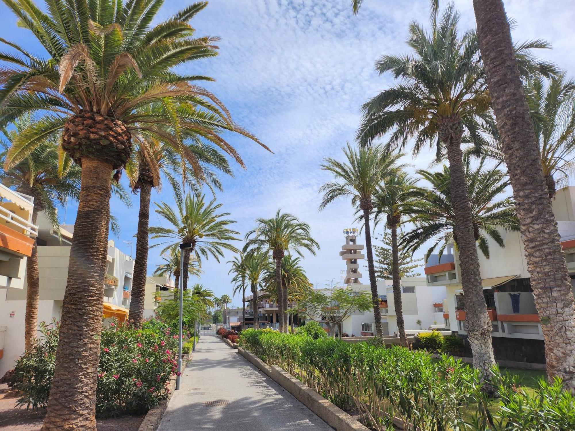 Apartment Tenerife Sunshine South By La Ballena
