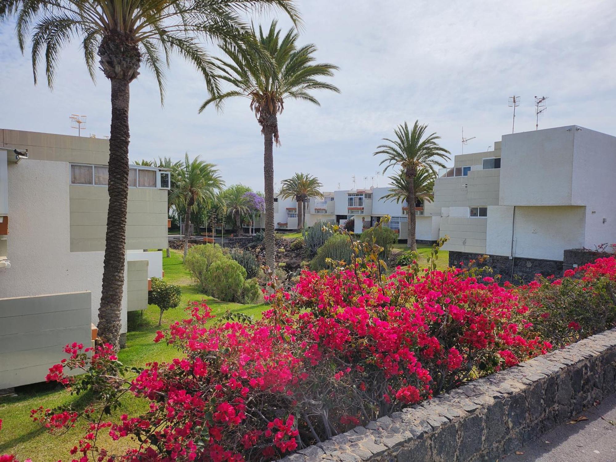 Tenerife Sunshine South By La Ballena * Arona (Tenerife)
