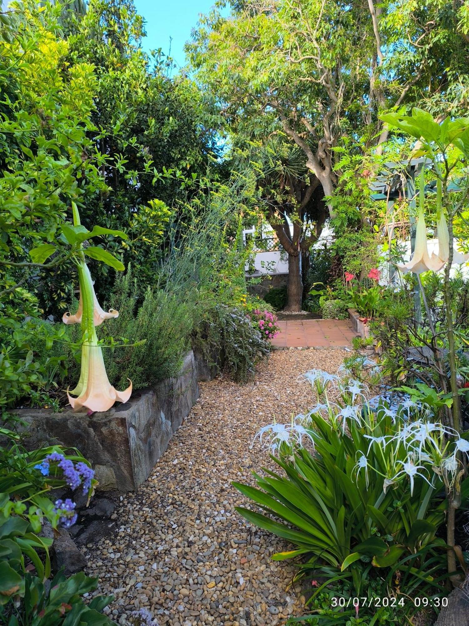 Casa Flora Garden Appartement *
