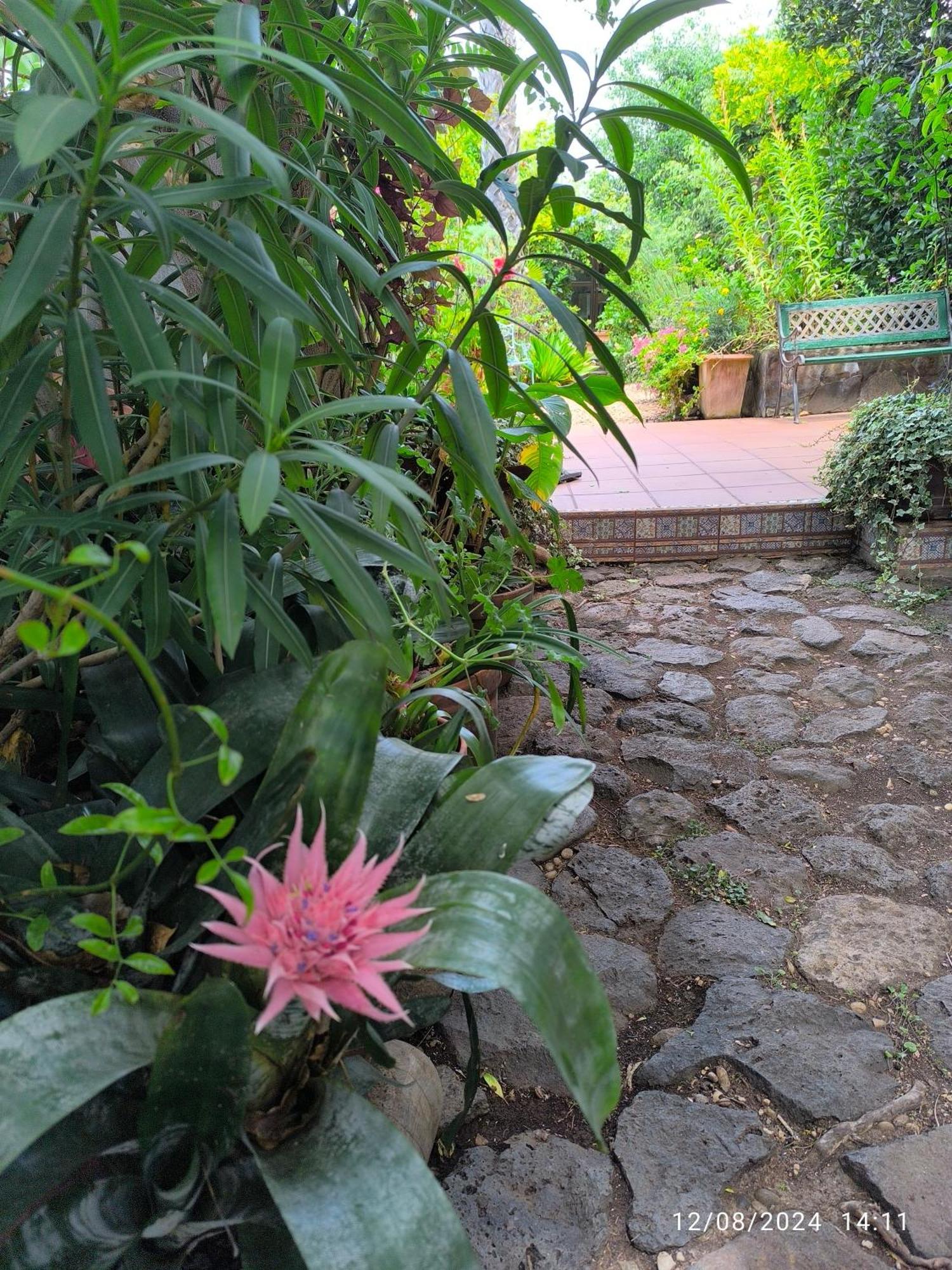 Casa Flora Garden El Sauzal