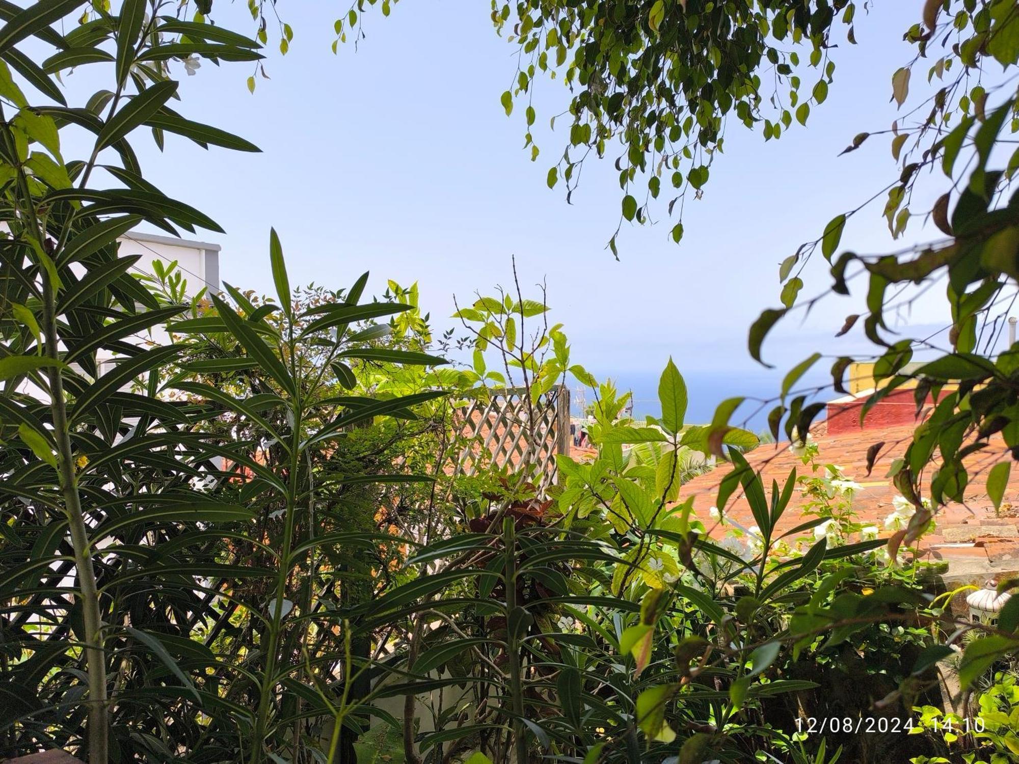 Casa Flora Garden Appartement