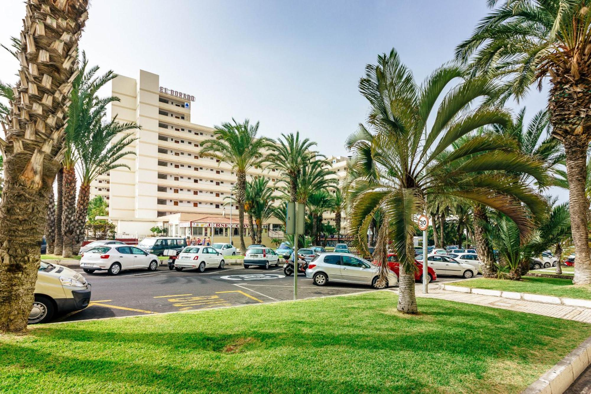 Apartment 1bdr El Dorado Ocean View Americas *