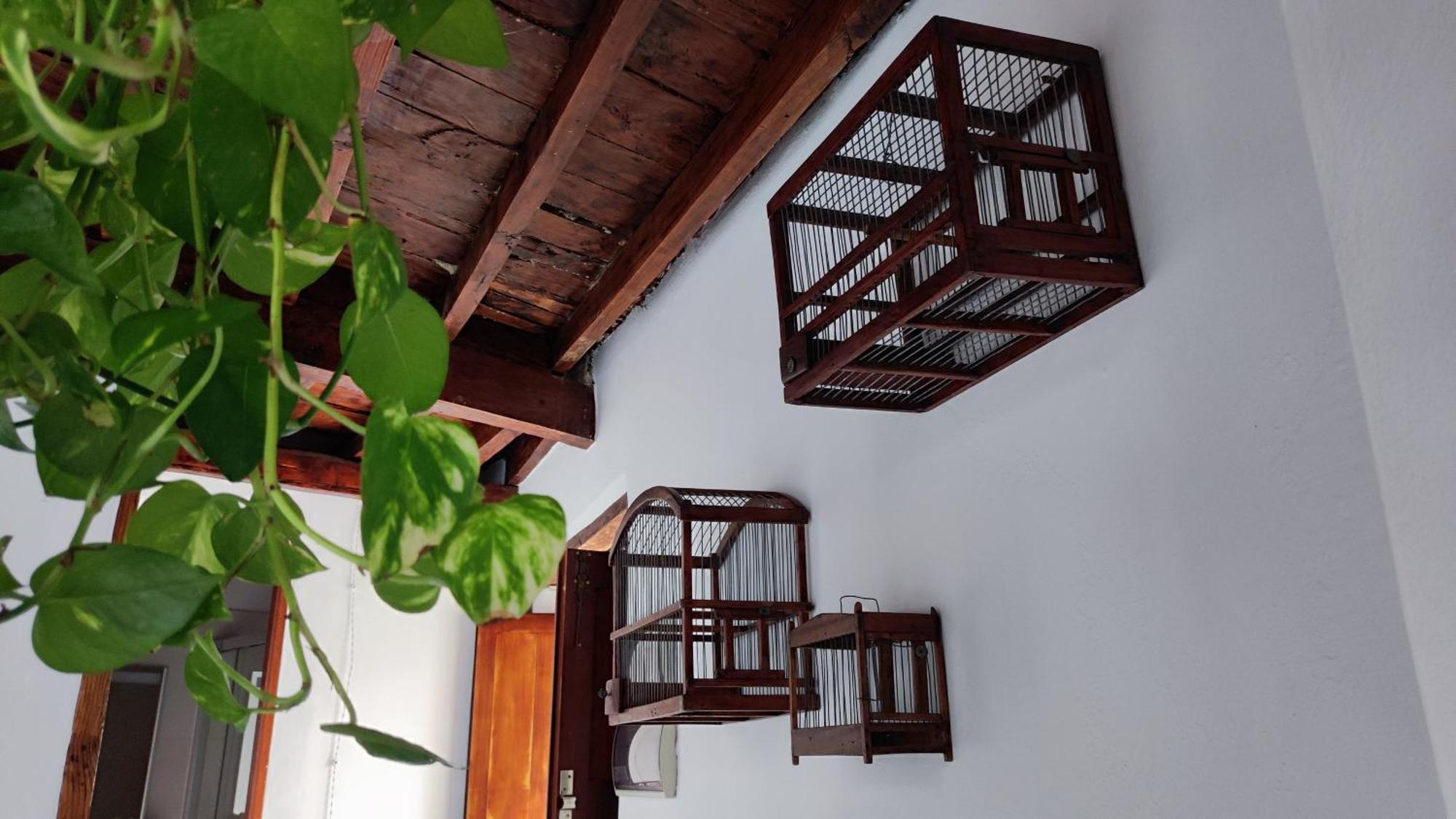 La Casita Del Muelle Holiday home Garachico (Tenerife)