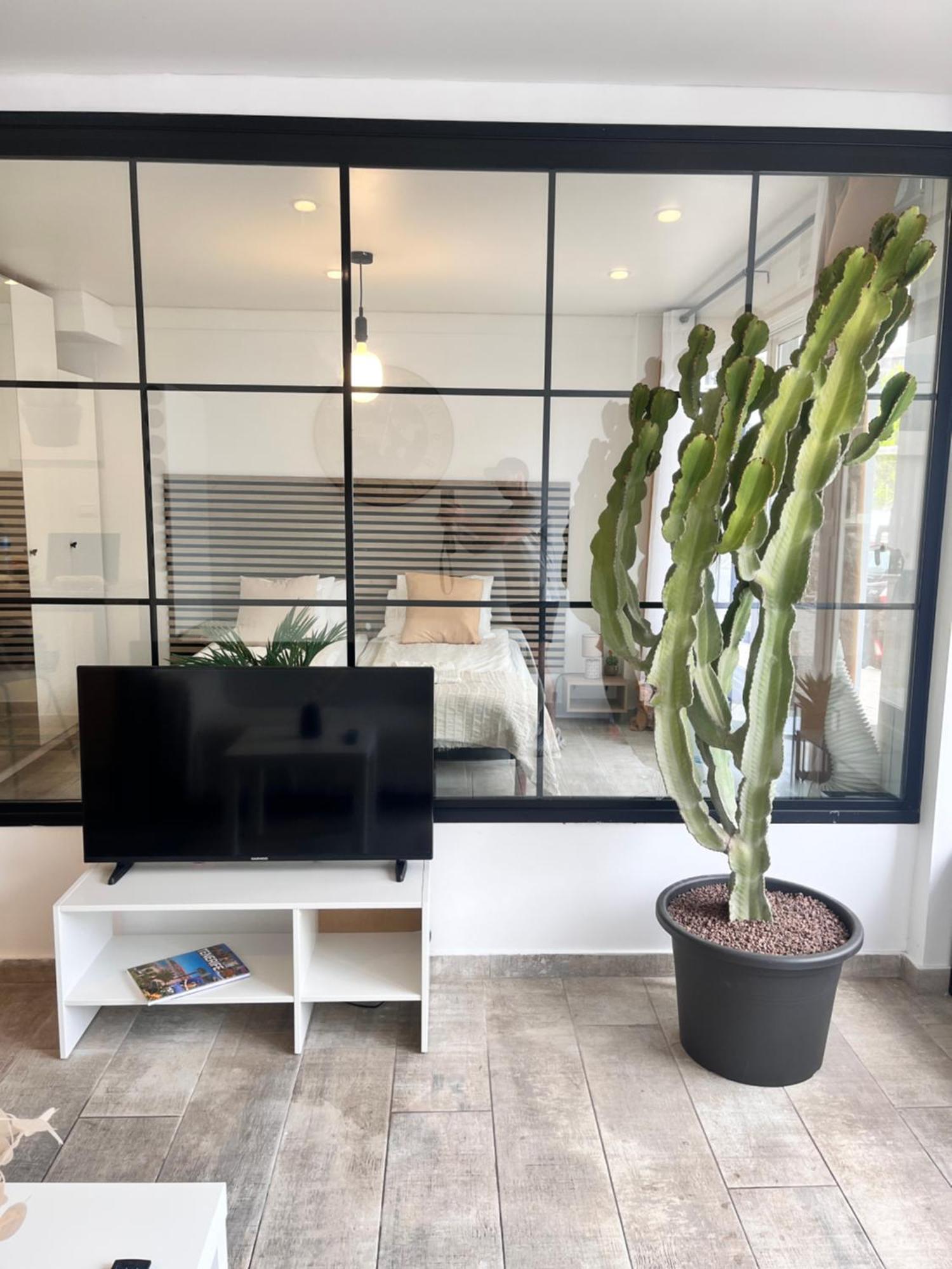 Apartamento Cactus *