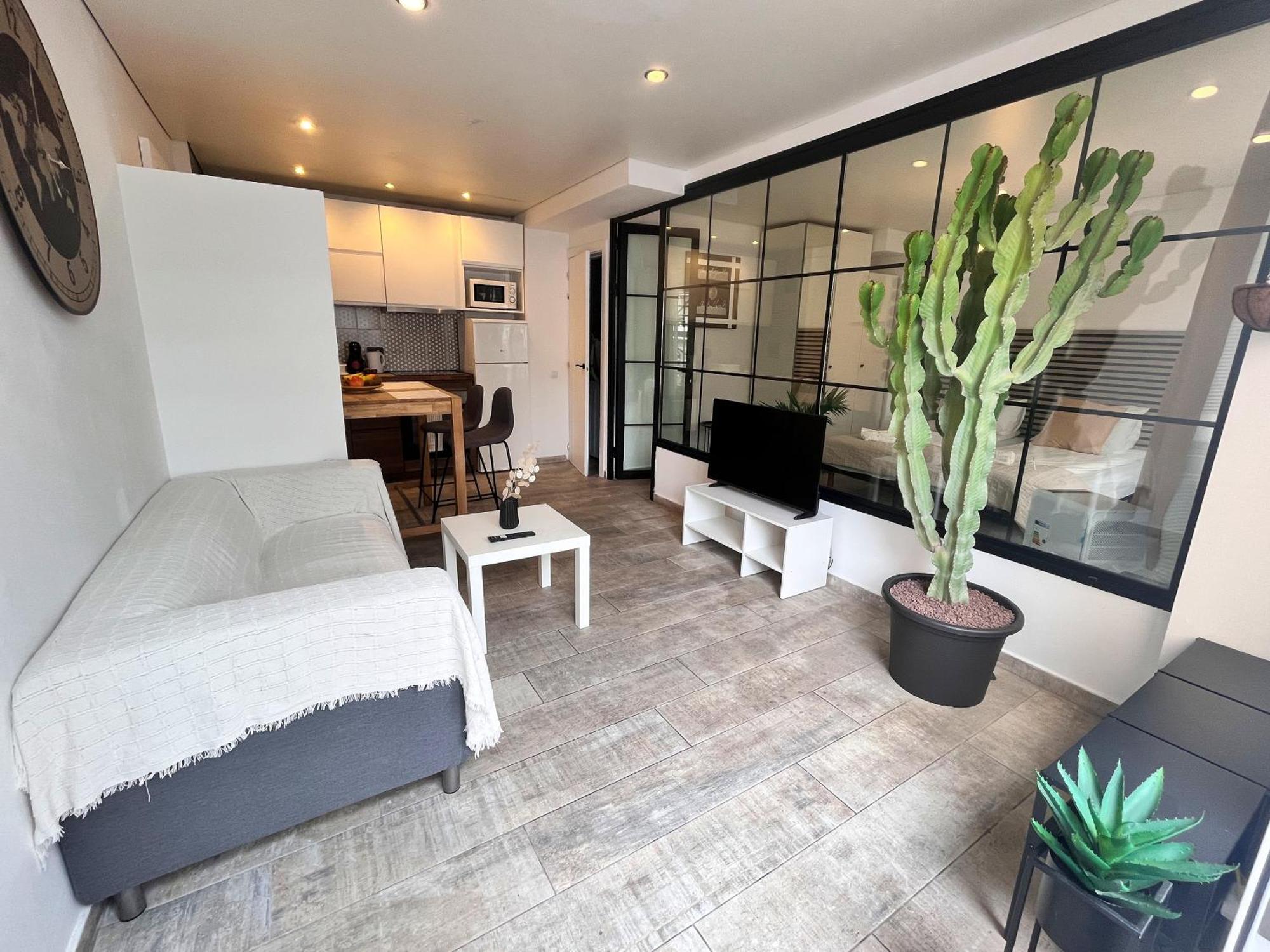 Apartamento Cactus Playa Feñabe