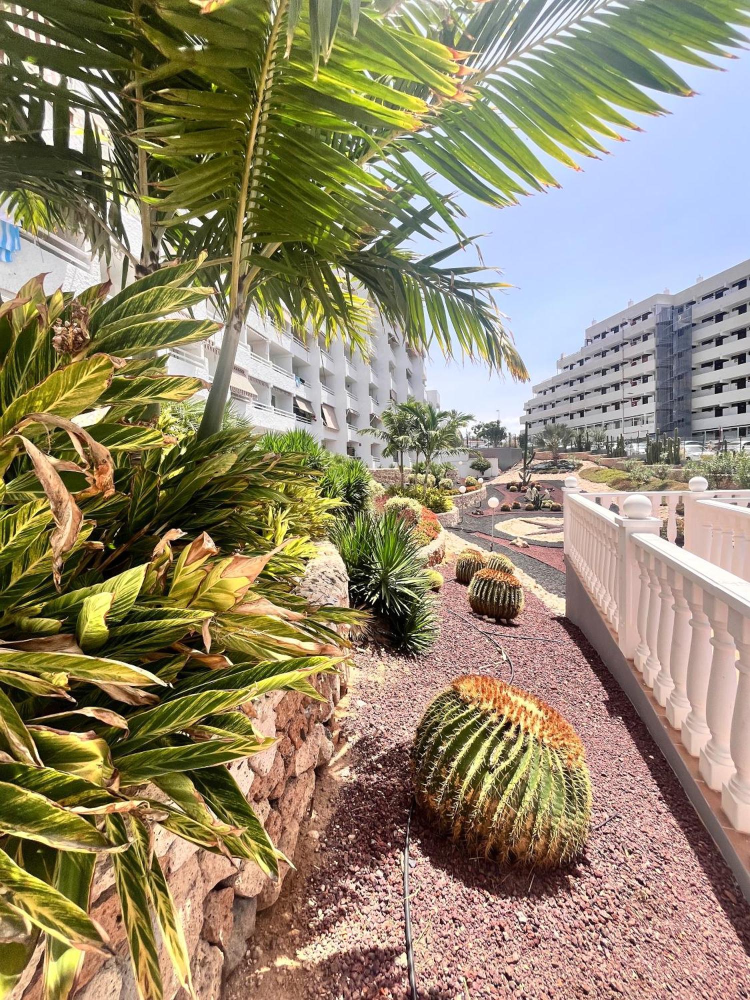 Apartamento Cactus *