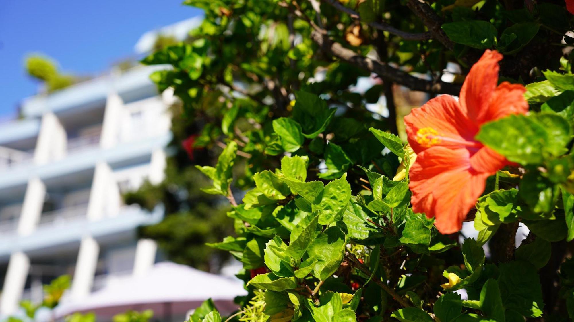 Appartement Coral La Quinta Park *