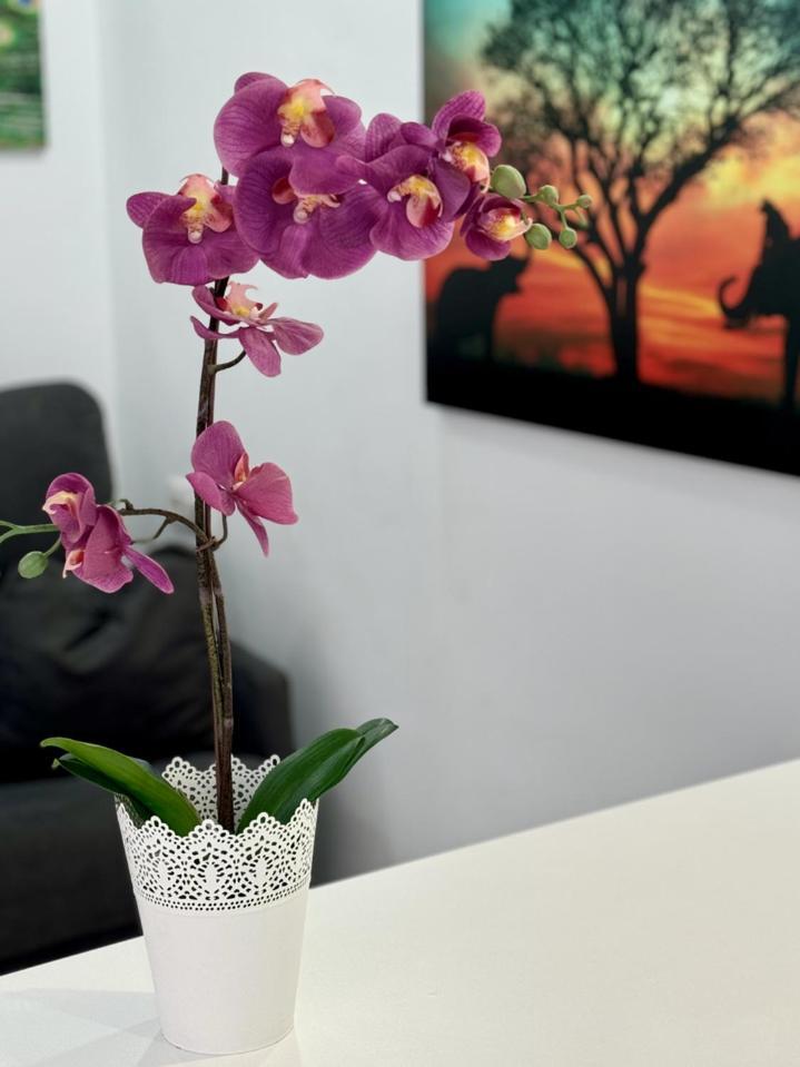 San Eugenio Charming Renovated Tenerife Costa Adeje (Tenerife)