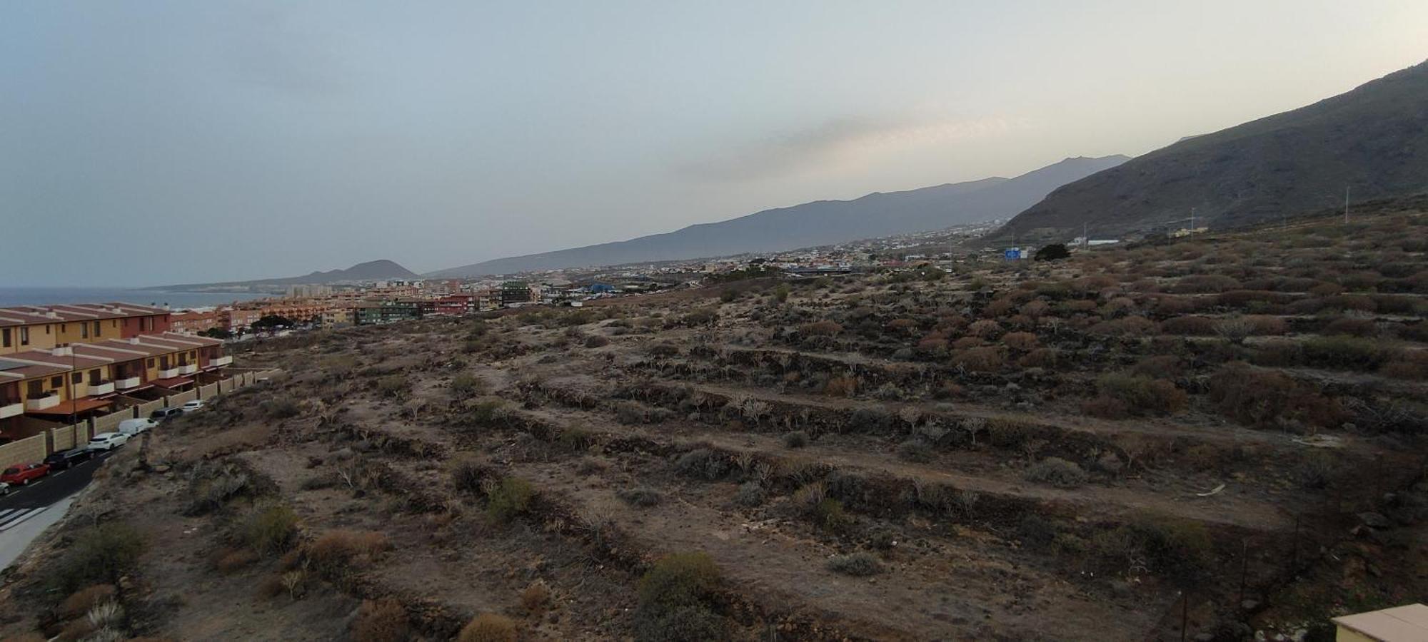 Sunlivetenerife
