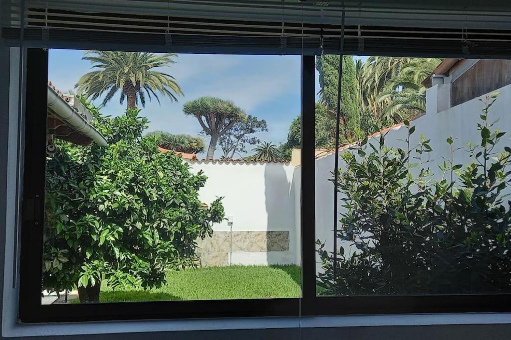 Hills And Waves Appartement