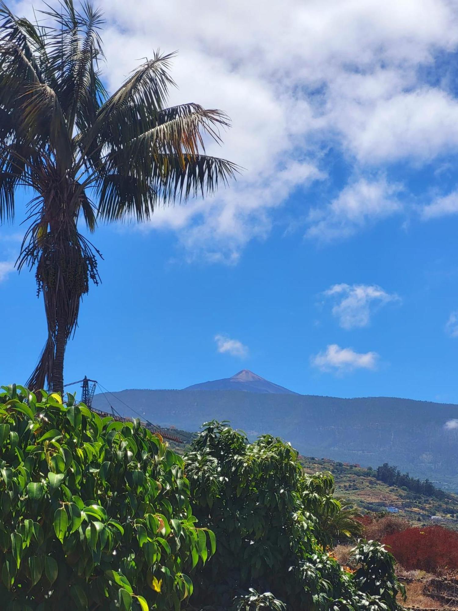 Orotava Garden House Perfect For Families Holiday home
