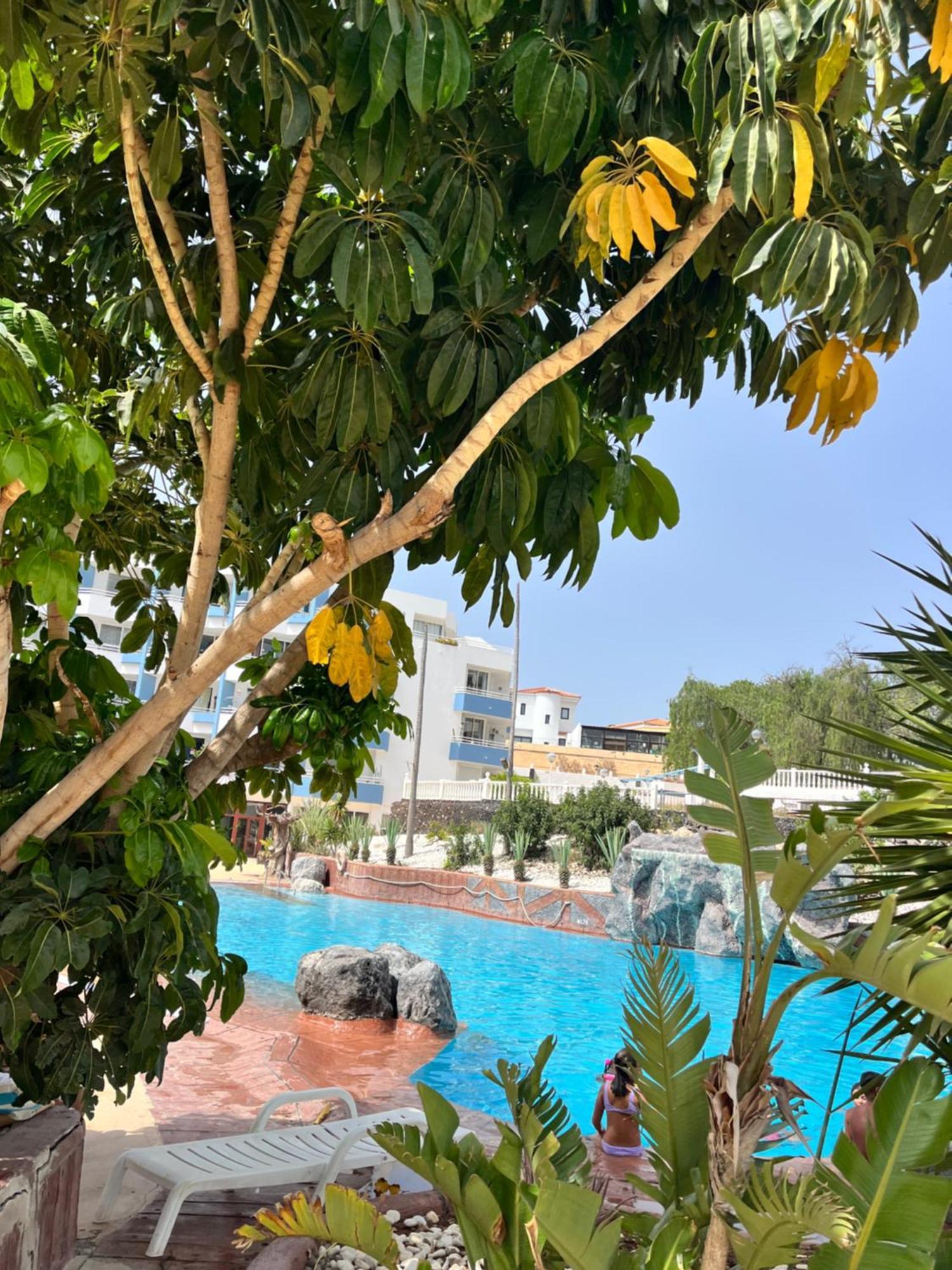 Golf Del Sur Greenpark With Pool Corbeta 118 San Miguel de Abona