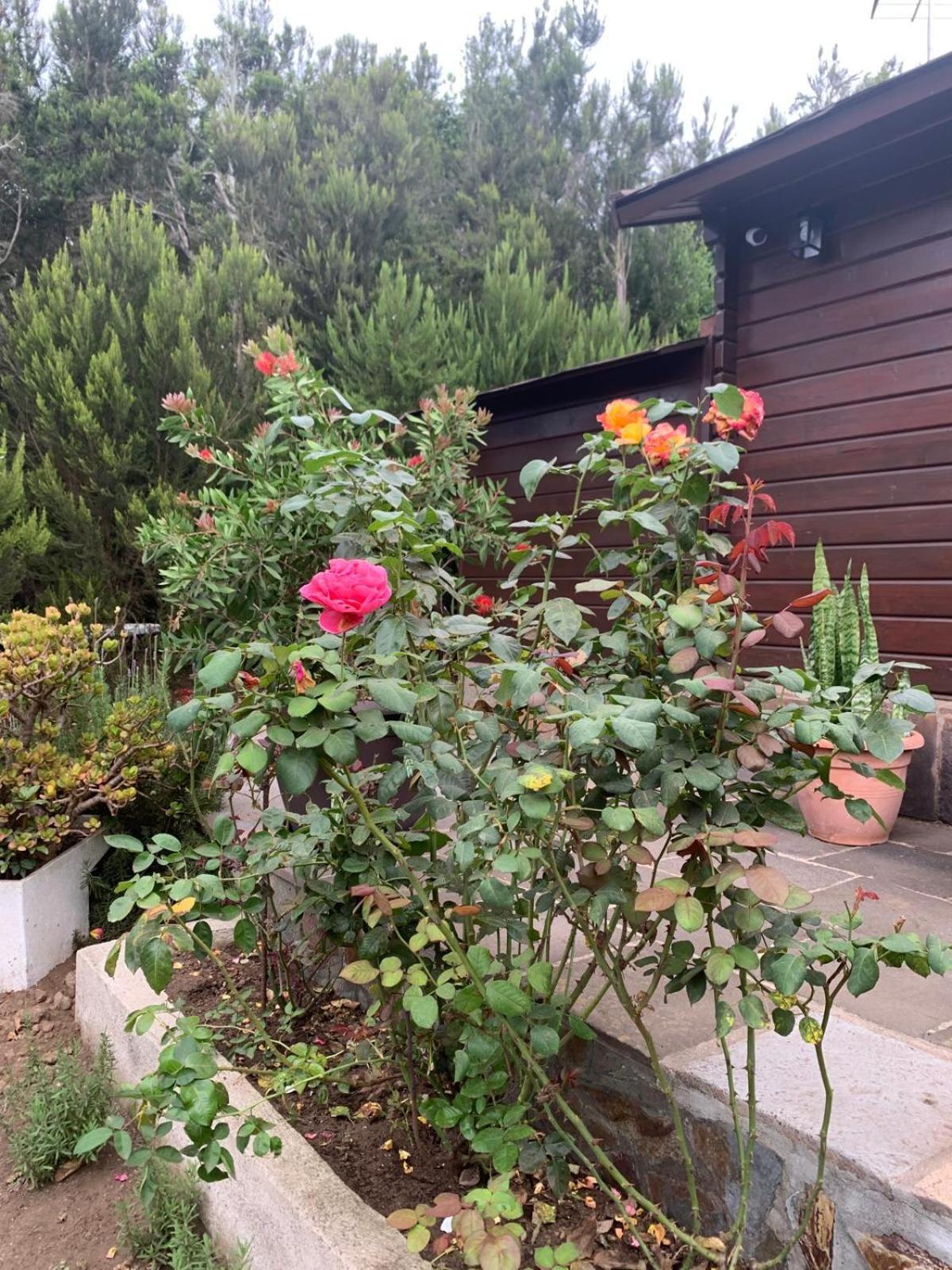 Retiro En La Naturaleza - Desconexion Y Relax Apartment *