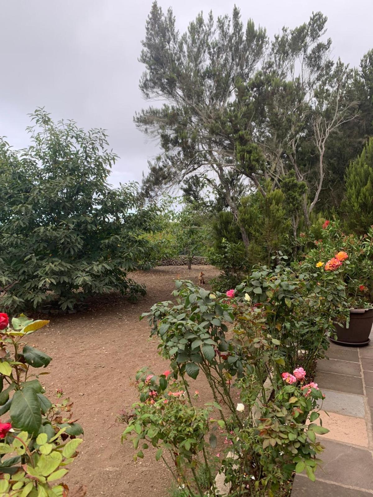 Retiro En La Naturaleza - Desconexion Y Relax Apartment *