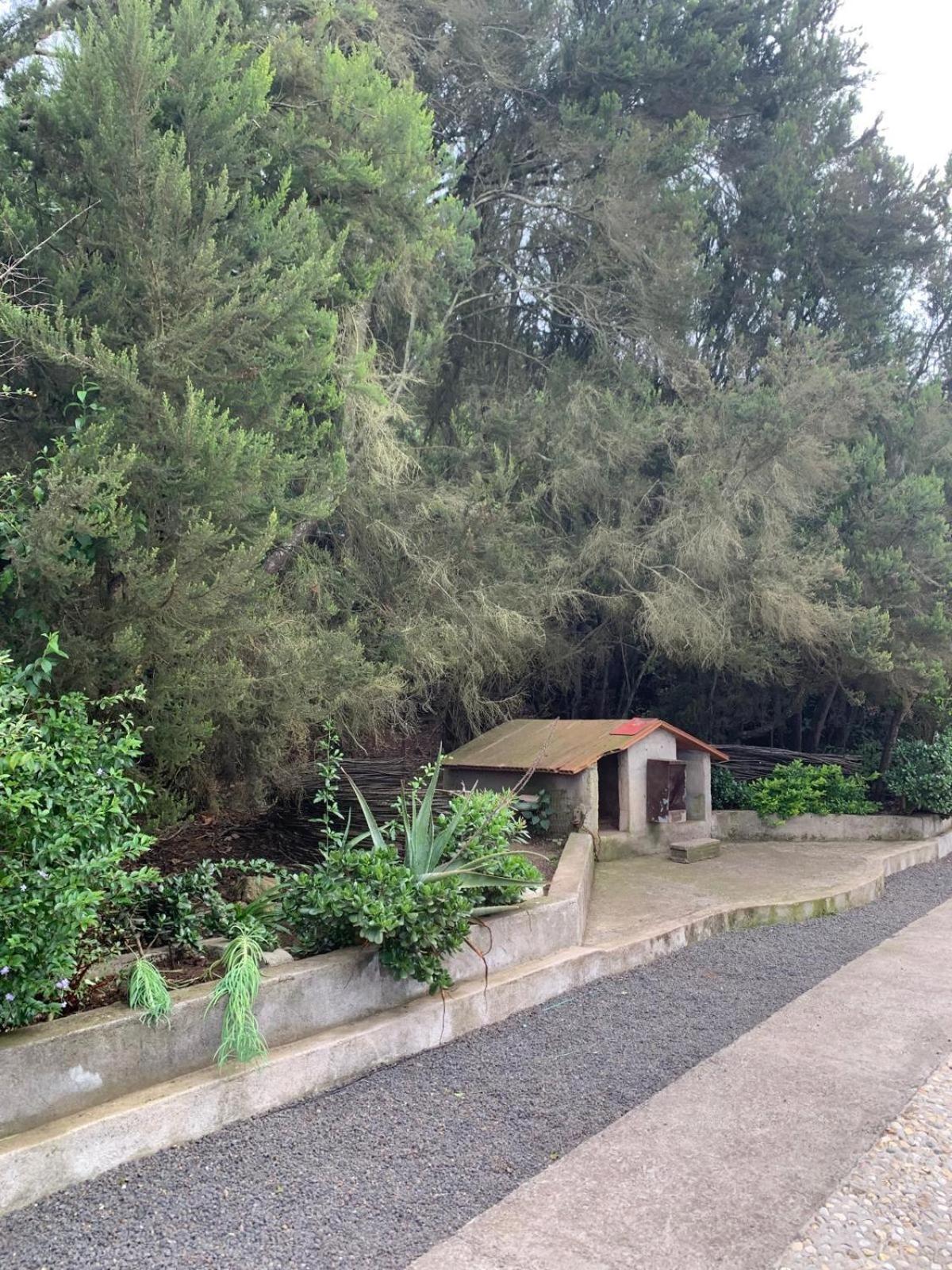 Retiro En La Naturaleza - Desconexion Y Relax Apartment Santa Cruz de Tenerife