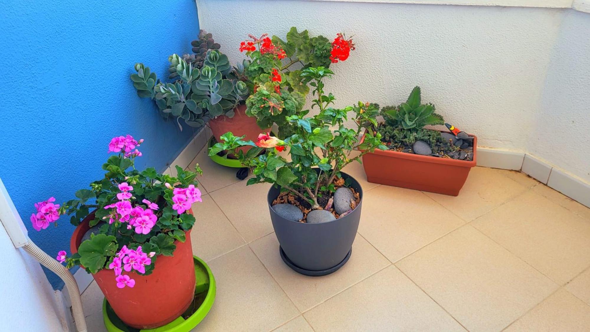 Appartement Tenerife Sud Golf Appartament *