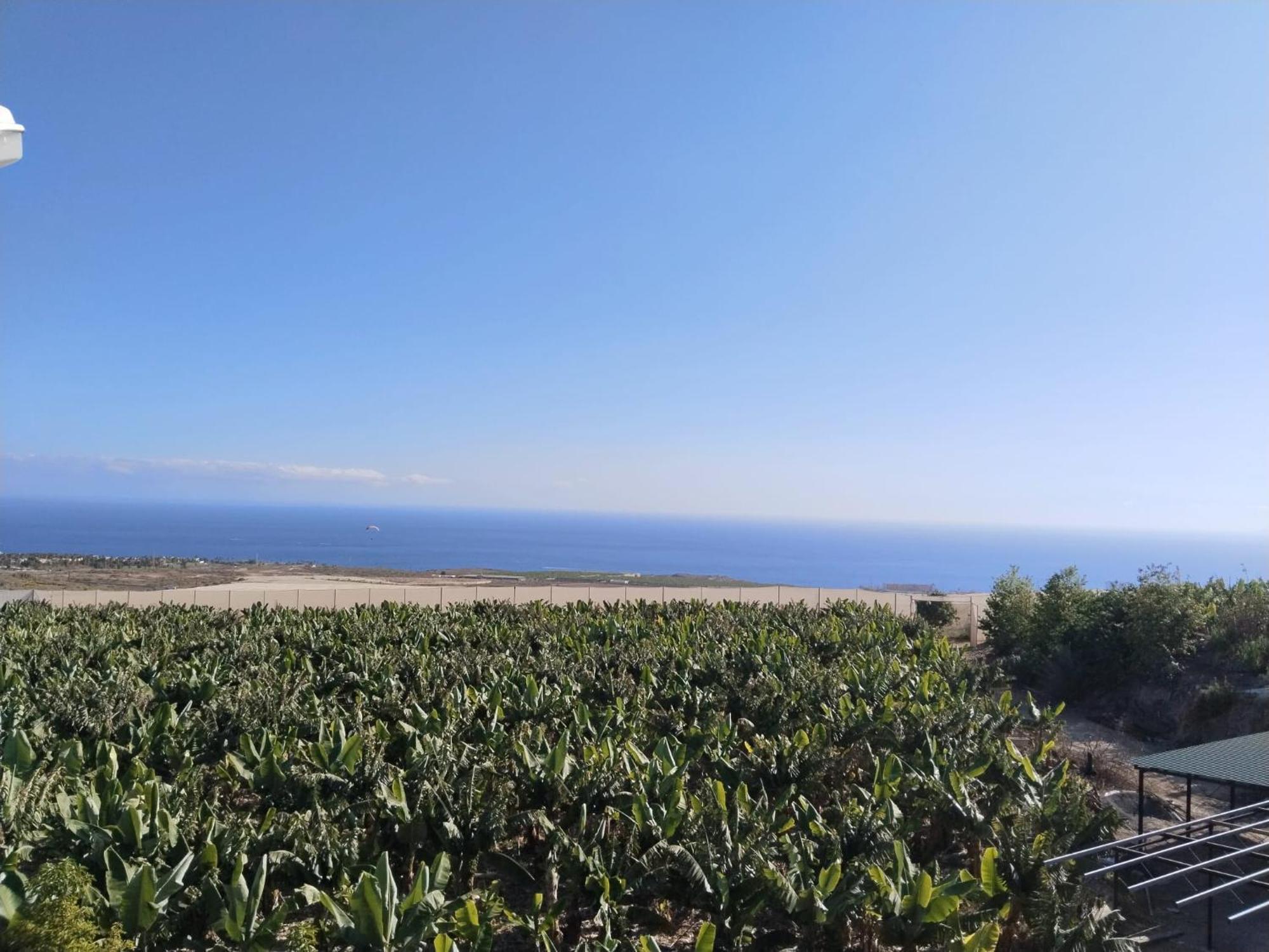 Beautiful Sea View And Pool Atalaya A3 In * Costa Adeje (Tenerife)