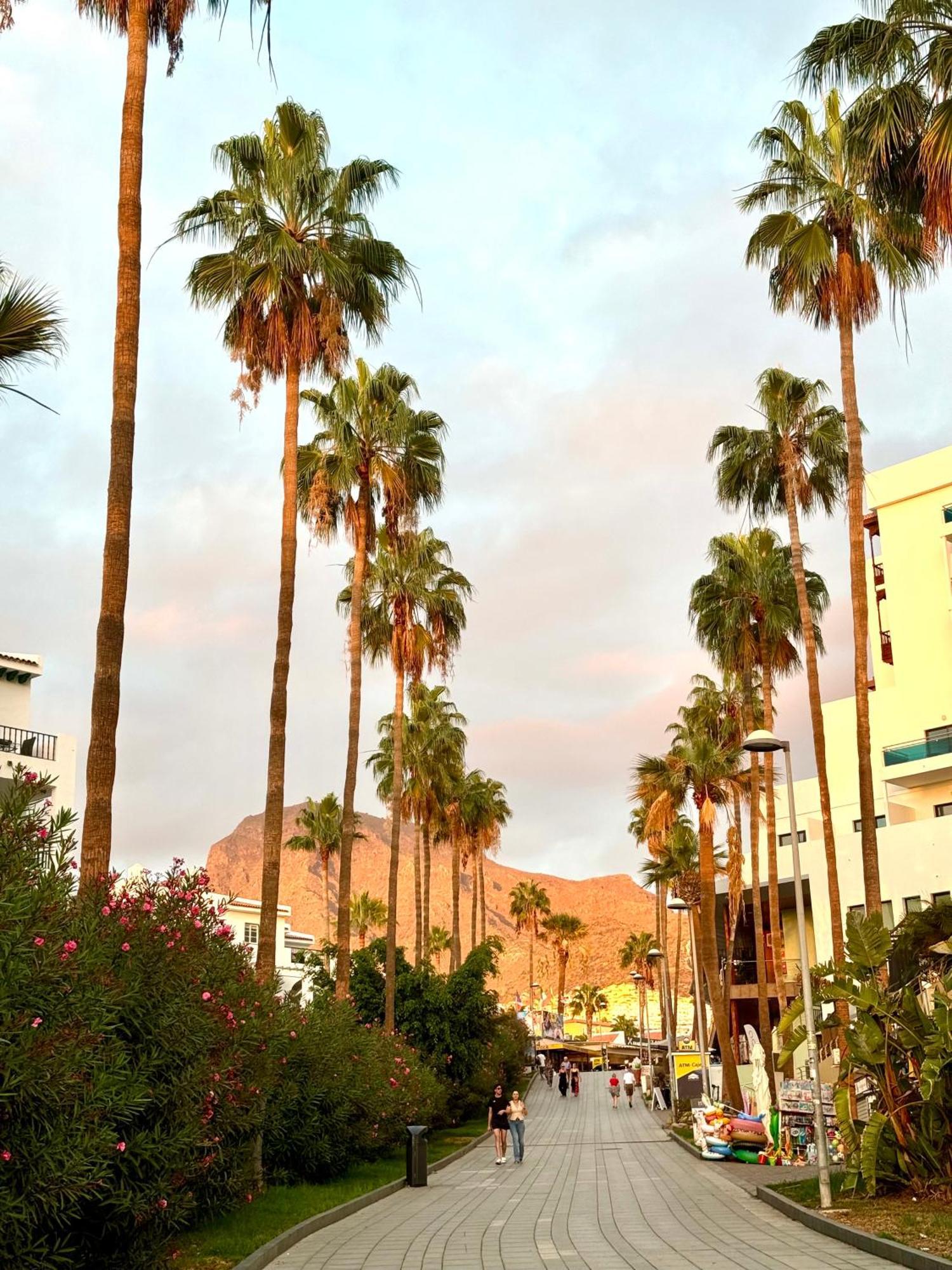 Buenavista Torviscas Costa Adeje (Tenerife)