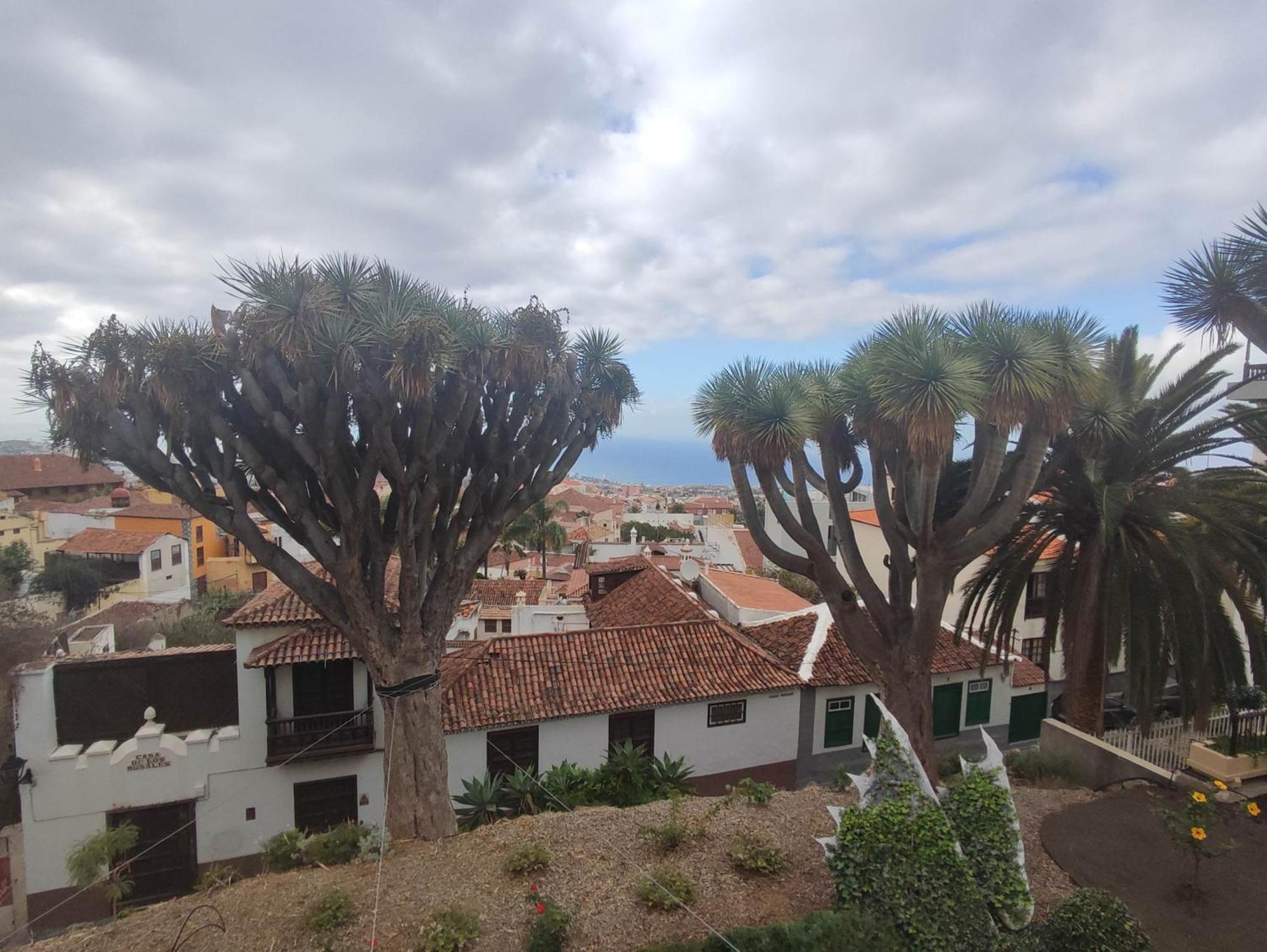 Casa Ruth Centro Orotava Appartement