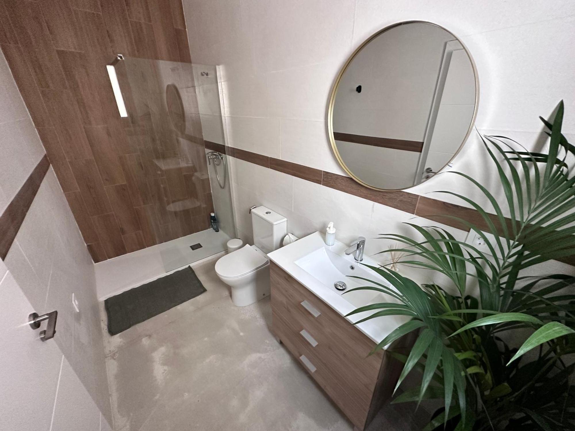 Euphorbia Appartement